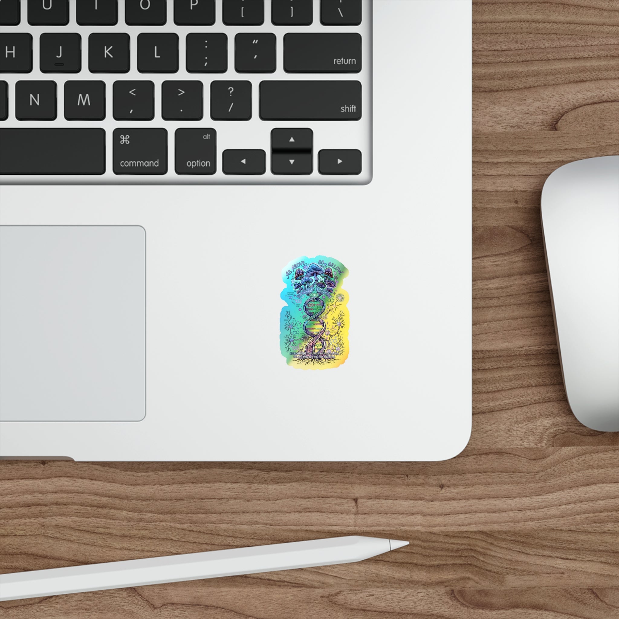 Entangled Consciousness Holographic Die-cut Stickers